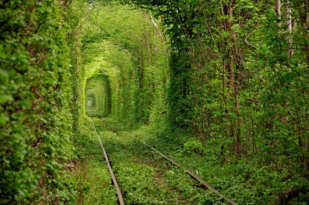 Lugar mais bonito, túnel verde